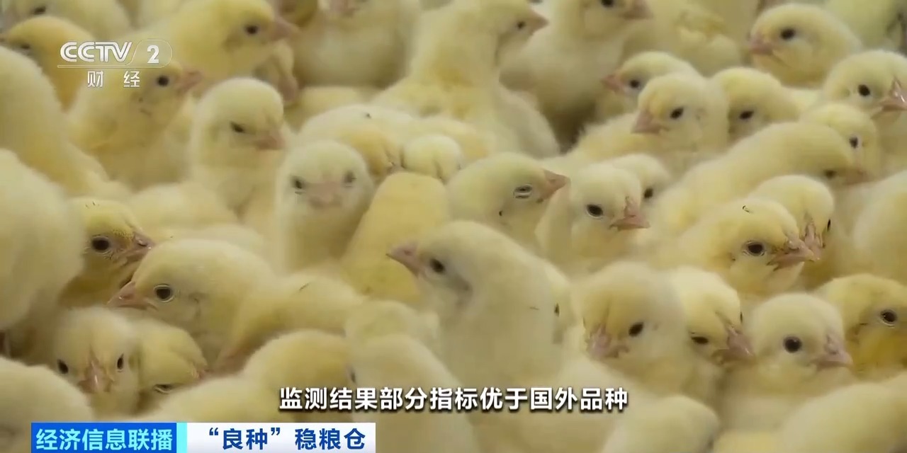 首页| 88858cc永利集团中国区官方网站
