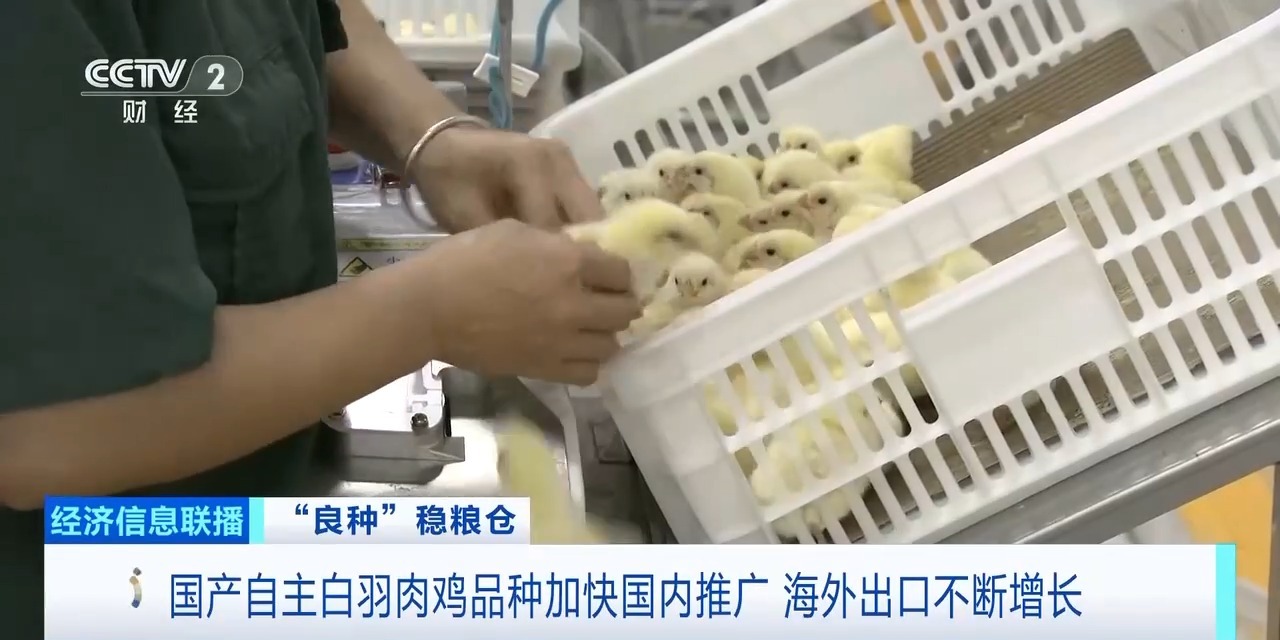 首页| 88858cc永利集团中国区官方网站