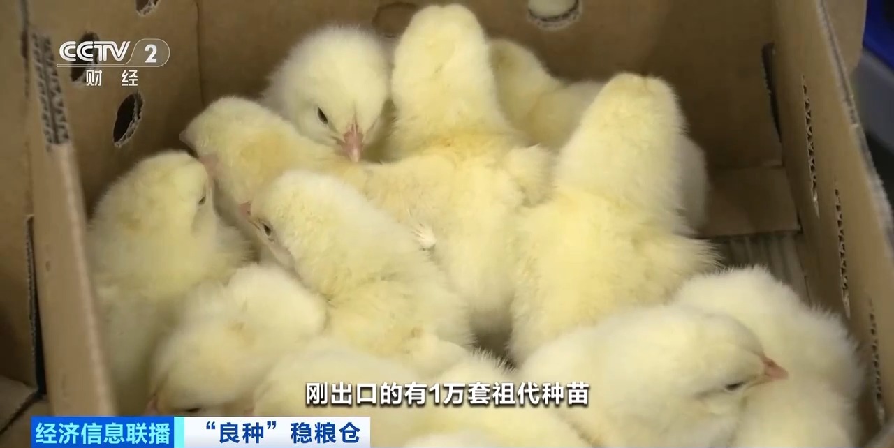 首页| 88858cc永利集团中国区官方网站